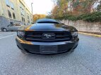 Thumbnail Photo 1 for 2014 Ford Mustang